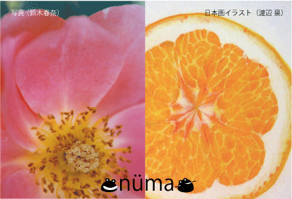 numa